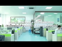 回転木戸のゲートの製造業者